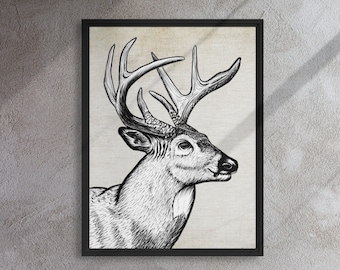 Whitetail Deer Wildlife Art Framed Canvas Wall Decor for Outdoor Hunters Ink Drawing Artwork