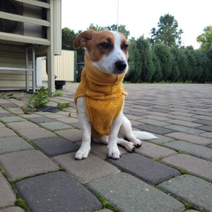 100% Merino Fleece Wool, Dog sweater, jacket, vest, hoodie. Super soft. XXS-XL image 3