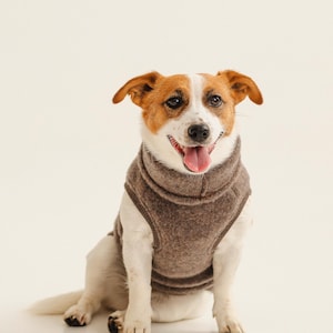 Op de afbeelding: Een kleine Jack Russell Terrier met wit en bruin haar draagt een effen bruine, mouwloze trui met een hoge kraag. De hond zit in een voorwaartse positie met de bek open, waarbij de tong zichtbaar is tegen een effen achtergrond.
