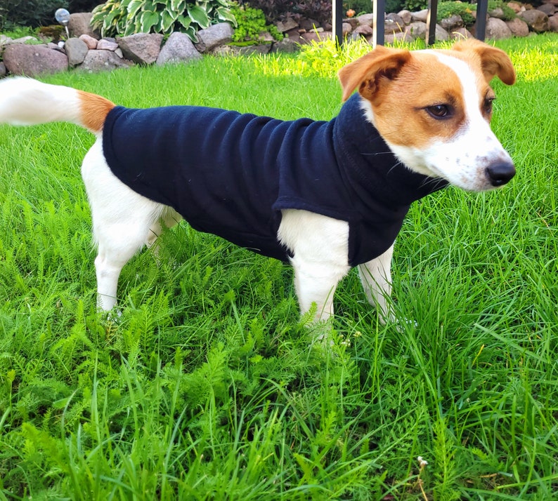 Merino wool Dog Fleece, jacket, vest, soft and warm. XXS-XL image 4
