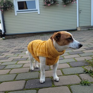 100% Merino Fleece Wool, Dog sweater, jacket, vest, hoodie. Super soft. XXS-XL image 4