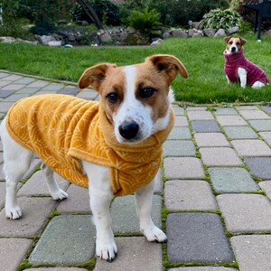 100% Merino Fleece Wool, Dog sweater, jacket, vest, hoodie. Super soft. XXS-XL image 5