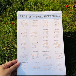 May include: A white printed sheet titled "STABILITY BALL EXERCISES" with various exercise illustrations. The sheet is held over green grass. Exercises include Squat, Decline Push-Up, Incline Push Up, Russian Twist, and more.