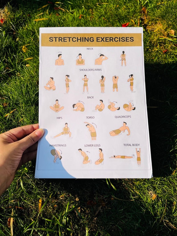 Stretching Exercise Chart: Illustrated Workout Guide (Digital Download)