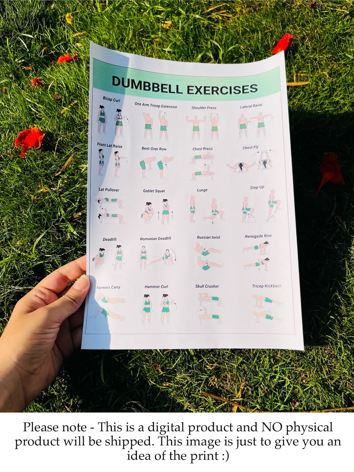 Dumbbell Workout, Dumbbell Workout Chart, Dumbbell Exercises, Dumbbell ...