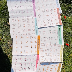 May include: A set of exercise posters with illustrations of different exercises. The posters are printed on white paper with black and pink text. The posters include exercises for stability ball, pilates, dumbbells, resistance bands, stretching, yoga, bodyweight, kettlebells, and barbells.