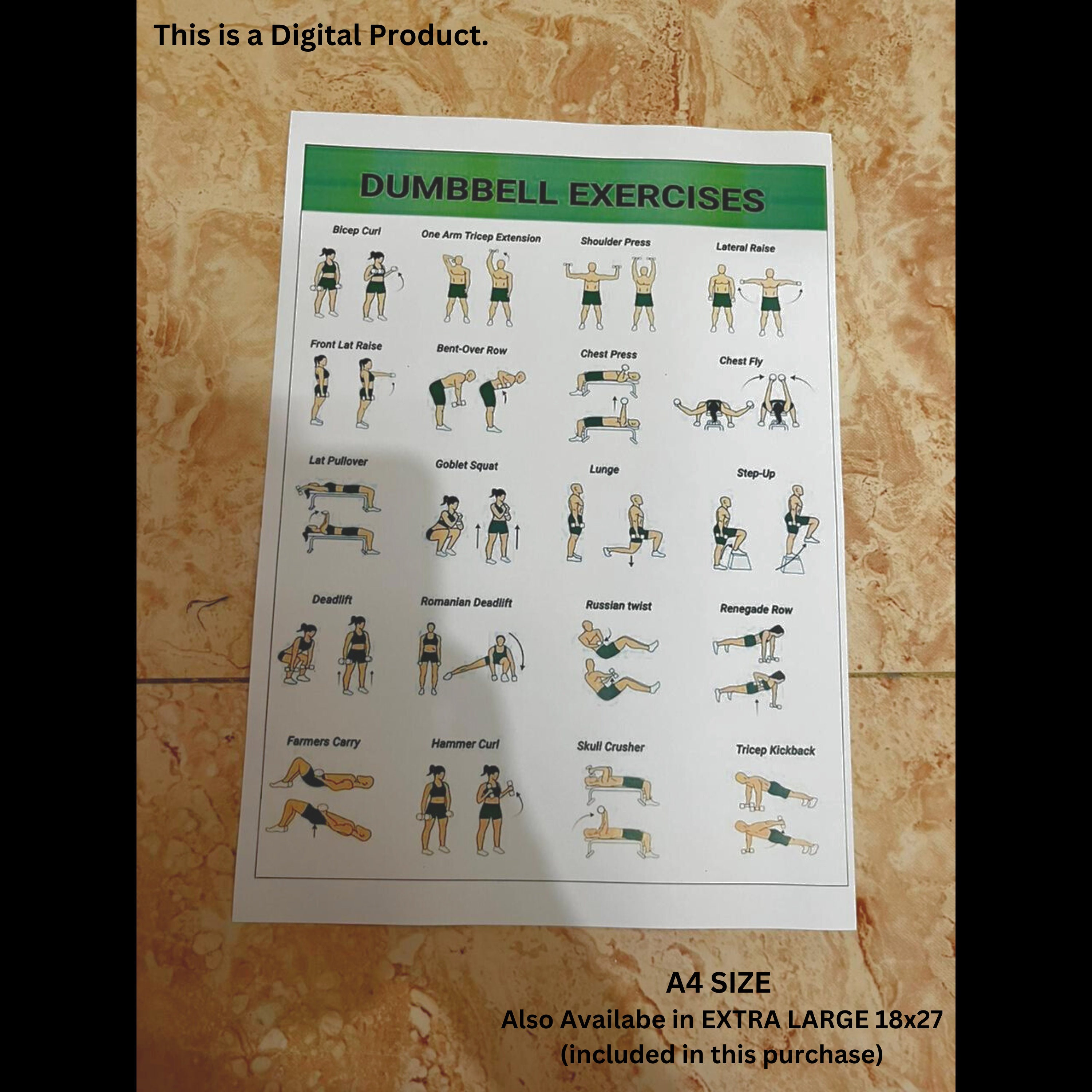 Dumbbell Workout Dumbbell Workout Chart Dumbbell Exercises Etsy