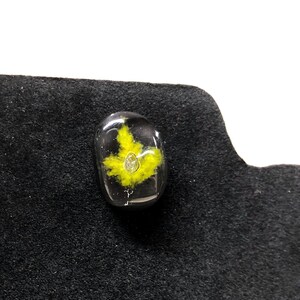 Gele esdoornbladsnijder