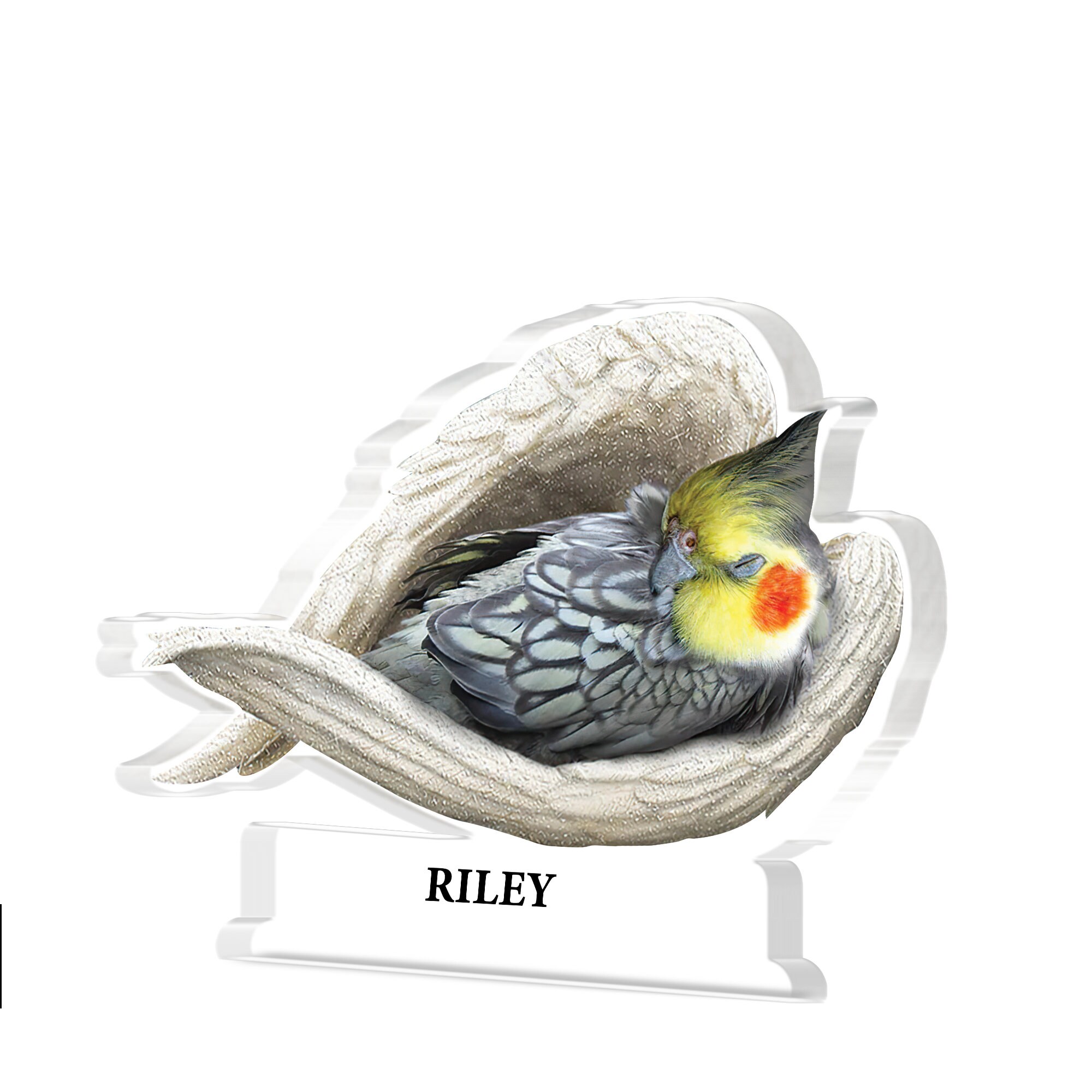 Personalized Cockatiel Angel Wings Acrylic Plaque Cockatiel Acrylic Keepsake Gift Cockatiel Sleeping Angel Acrylic Plaque TD 0331 XHKW Etsy UK