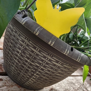May include: A brown, basket-style hanging planter with a yellow butterfly-shaped insect trap. The planter is filled with green leafy plants. The planter has a woven texture and is hanging on a wooden surface.