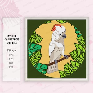 Cacatua delle Molucche Shadow Box SVG, Cacatua Shadow Box, Pappagallo svg, Cacatua Light Box Svg, Cacatua delle Molucche Svg, Cacatua svg, Pappagallo 3D Box