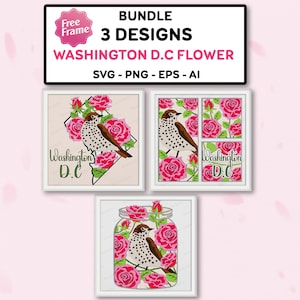Pacote Washington D.C Flower and Bird Shadow Box SVG, Nevada Flower Bird 3D Box, Washington D.C, Mason Jar svg, Shadow Box Gift, para arquivo cricut