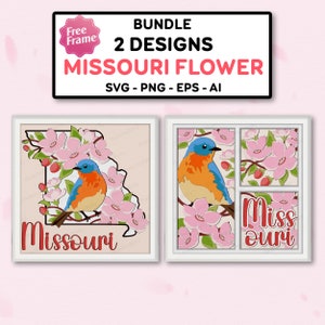 Pacchetto Missouri Flower e Bird Shadow Box SVG, Missouri Flower 3D Box, Missouri State Flower,Per file cricut,Missouri State Bird Decor