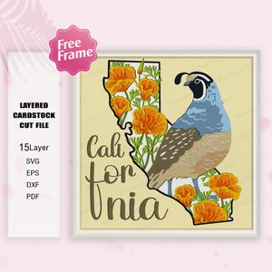 California Flower and Bird Shadow Box SVG, California Flower 3D Box, Fiore e California Quail svg, Per cricut File, California Decor