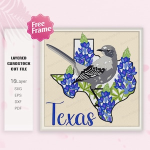 Fleur du Texas et oiseau Shadow Box SVG, boîte 3D de pots Mason, Texas State Bird svg, oiseau Texas, cadeau Shadow Box, pour fichier cricut, Texas Flower svg