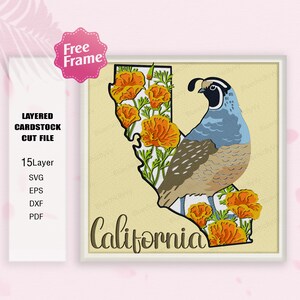 California Flower and Bird Shadow Box SVG, California Flower 3D Box, Fiore e California Quail svg, Per cricut File, California Decor