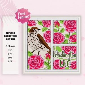 Washington DC Flower and Wood Thrush Shadow Box SVG, Washington e Bird 3D Box, Washington FlowerD.C svg, Washington svg, para arquivo cricut