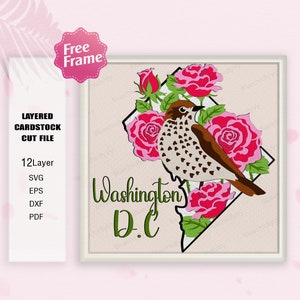 Washington Flower and Wood Thrush Shadow Box SVG, Washington y Bird 3D Box, Washington Flower svg, Washington svg, Para archivo cricut