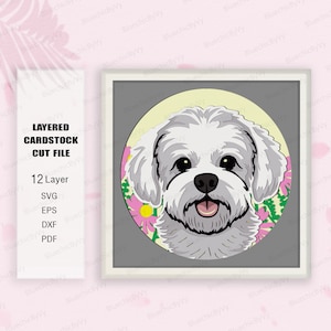 Chien Bichon Frise Shadow Box SVG, Shadow Box chien Bichon, cadeau pour amoureux des chiens, pour cricut, chien Bichon Light Box Svg, cadeau boîte ombre, chien Bichon Svg