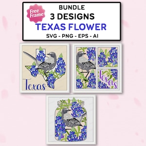 Bundle Texas Flower e Bird Shadow Box SVG, Mason jar 3D Box,Texas State Bird svg, Bird Texas,3D Box Gift, Per cricut File,Texas Flower svg