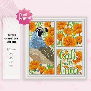 California Flower e California Quail Shadow Box SVG, California Quail 3D Box, Fiore e California Quail svg, Per cricut, California Decor
