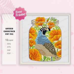 Mason Jar California Flower e Bird Shadow Box SVG, Mason jar 3D Box, California Flower svg, Bird California, Per cricut File, Mason Jar