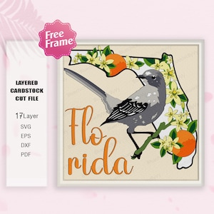 Fleur de Floride et oiseau Shadow Box SVG, boîte 3D moqueur polyglotte, boîte d'ombre 3D, oiseau de Floride svg, pour fichier cricut, oiseau de Floride décor