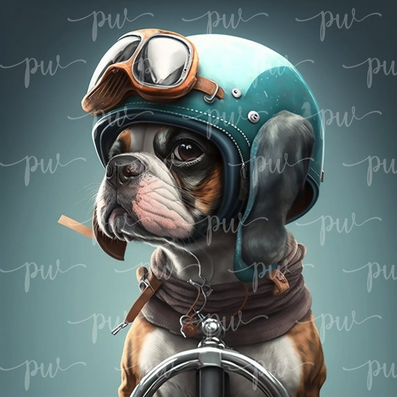 Kool dawg sale doggie helmet