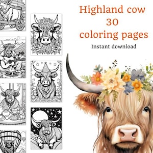 Highland Cow 30 Coloring Pages – Cute Cartoon Style | Printable PDF Download