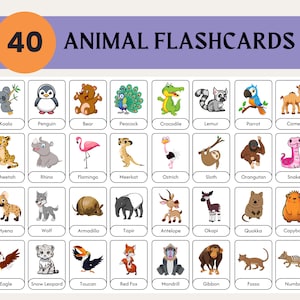 40 Zoo Animal Flashcards, Montessori Materials, Educational Printable Cards, Zoo Animals Flash Cards, Pre-School Cards, INSTANT DOWNLOAD