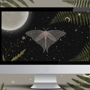 Sfondo Farfalla Desktop Astrologico PC. Sfondi per Mac Foresta mistica. Carta da parati esoterica del computer, Desktop di Windows, Desktop Organizer