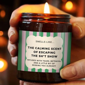 Peut inclure: Une bougie en pot de verre brun allumée avec une étiquette à rayures vertes et roses. L'étiquette indique "Smells like... The calming scent of escaping the sh*t show." La bougie est tenue dans les mains d'une personne.