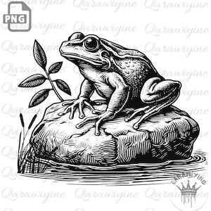 May include: A monochrome illustration of a frog perched on a rock, with aquatic plants. The frog is depicted in a side profile, with detailed skin texture. The image has a vintage, engraved style.