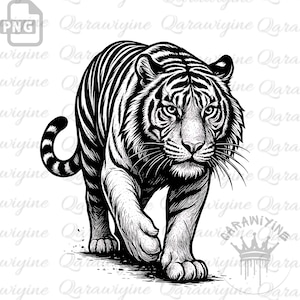 Tiger PNG Cut File – Walking Tiger Clipart, Big Cat Jungle Cricut Design for Shirt, Poster, Mascot, Sublimation