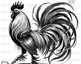 Galo Louco PNG: Retrato Engraçado em Preto e Branco (Download Digital)
