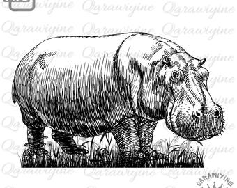 Hippo PNG Clipart: Black and White Hippopotamus Illustration (Digital Download)
