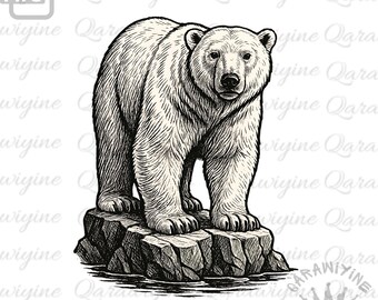 Vintage Polar Bear Clipart: Hand-Drawn Arctic Animal PNG (Digital Download)