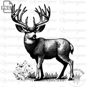 Big Buck Deer PNG: Hunting Art, Wildlife Clipart (Digital Download)