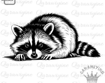 Raccoon PNG – Cute Raccoon Clip Art, Feral Raccoon Vector, Funny Raccoon Peeking Design, Raccoon Silhouette, Raccoon Graphic Download