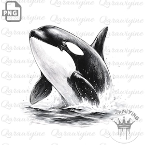 Orca Whale Clipart PNG: Ocean Silhouette Vector (Digital Download)