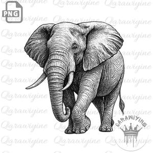 May include: A detailed black and white illustration of an elephant. The elephant is depicted in a walking pose, with its trunk and tusks prominently displayed. The image has a pen and ink style, with visible cross-hatching.
