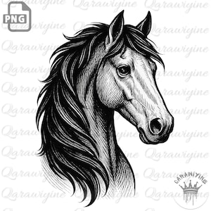 Pferdekopf PNG Clipart - Pferdesilhouette und Line Art für Pferdeliebhaber Shirts, Cricut und Sublimation