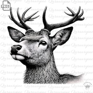 Whitetail Deer Art: Bold Wildlife Illustration (PNG Digital Download)