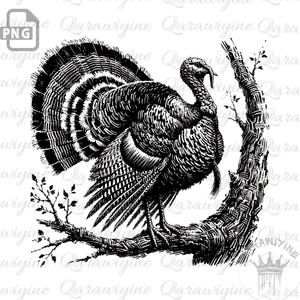 Può includere: Illustrazione in bianco e nero di un tacchino appollaiato su un ramo d'albero. Il tacchino ha le penne della coda spiegate e guarda a destra. Il ramo dell'albero è spesso e ha foglie.