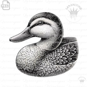 Mallard Duck Clipart - Perfect for Duck Lovers – mallard duck png