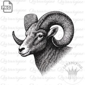 Könnte beinhalten: Detaillierte Schwarz-Weiß-Illustration eines Widderkopfes im Profil. Das Bild zeigt die gebogenen Hörner des Widders, das strukturierte Fell und die detaillierten Gesichtszüge. Das Kunstwerk ist eine PNG-Datei, geeignet für verschiedene Designanwendungen.