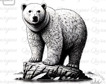 Polar Bear Drawing: Winter Animal Clipart PNG (Instant Download)