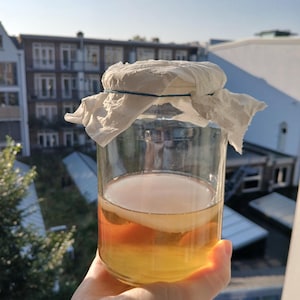 Pode incluir: Um frasco de vidro com um pano branco cobrindo-o e uma banda elástica segurando-o no lugar. O frasco contém um líquido marrom claro com um objeto branco redondo flutuando nele.