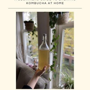Nybörjarguide för Kombucha – 15-sidig utskrivbar PDF
