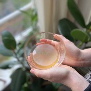 kombucha scoby organic with starter liquid to make kombucha at home recipe on demand diameter is 8 cm afbeelding 5